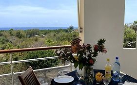 Appartement - Vue Mer Et Montagne